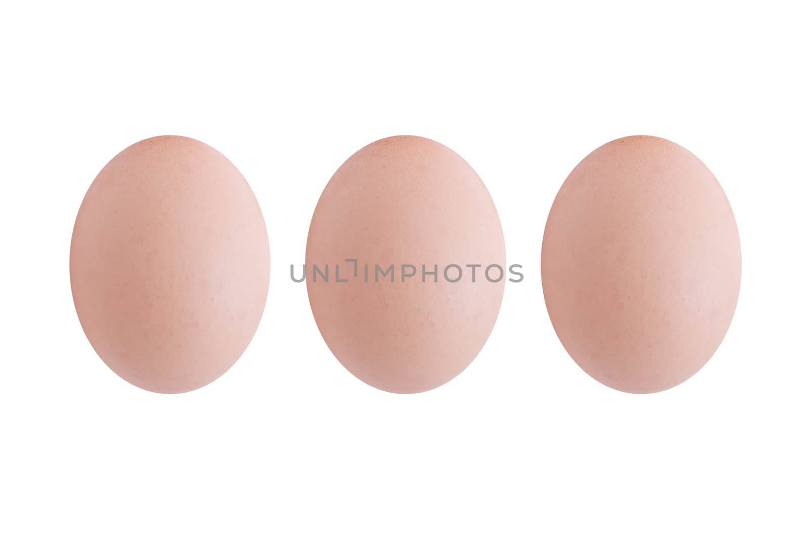 Three brown eggs, upright and lined up in a row, extracted and isolated against a white background.