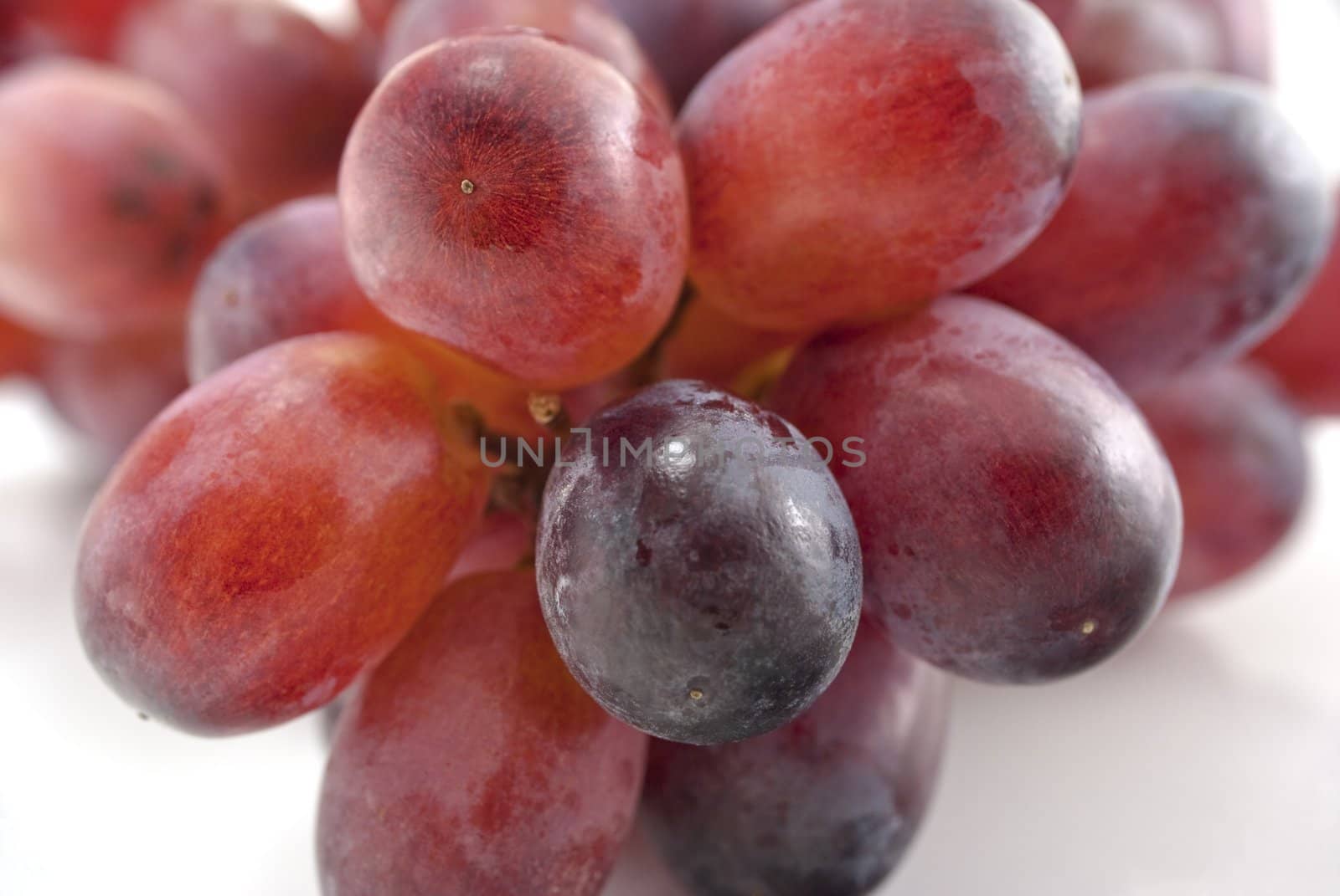 Close-up (macro) of a bunch of red grapes on a white china plate.  