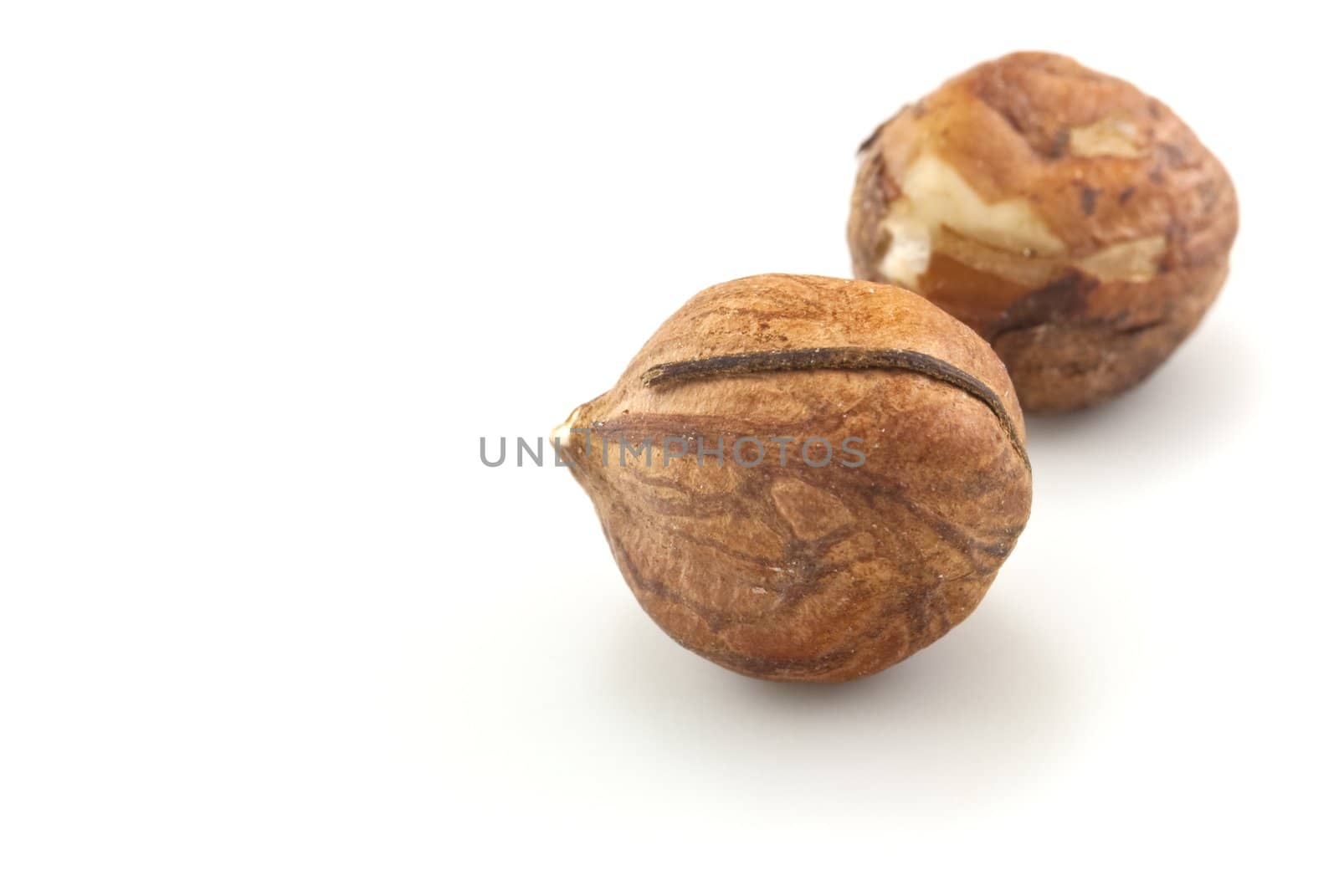 Close-up of two hazelnuts, isolated on white background with visible shadows and copy space.  