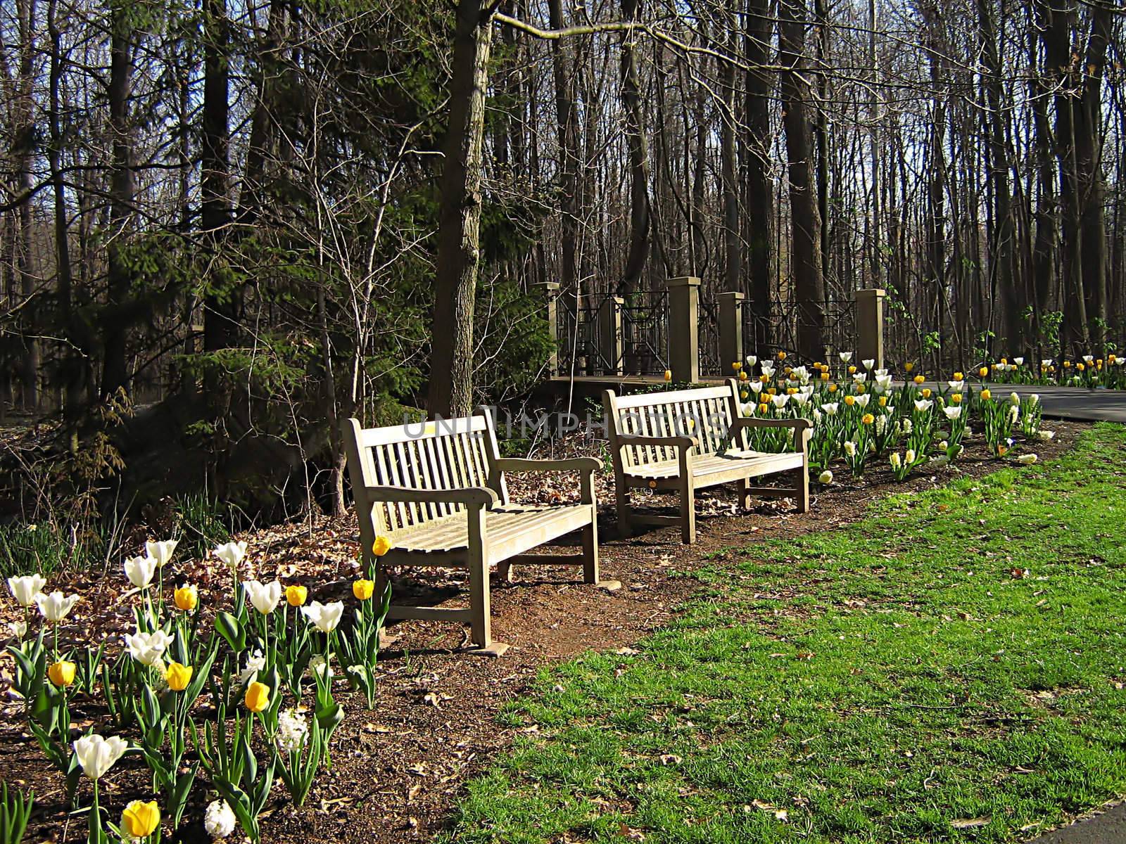 A photograph of a peaceful flower garden.