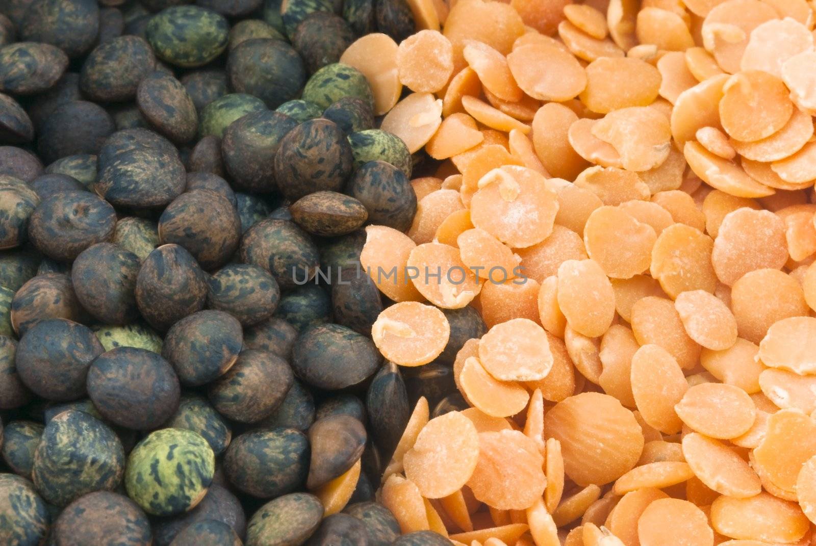 Closeup (macro) shot of puy and red lentils.