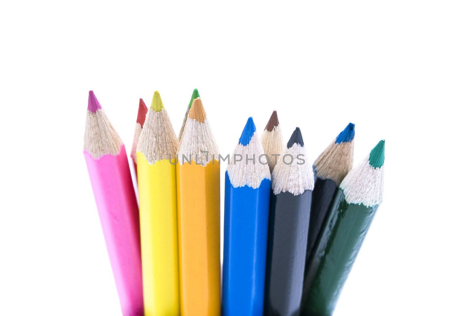 Coloured pencils bunched together and standing uprigh against white background.  Upper third visible.  Colours:  Pink, red, yellow, green, orange/ochre, light blue, brown, black, dark blue, green.