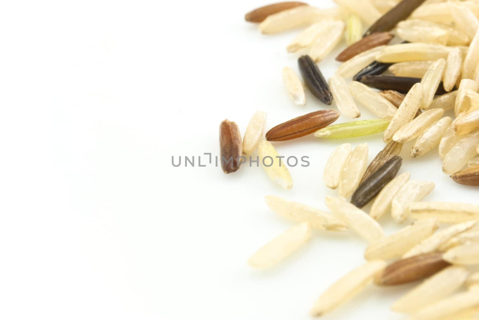 A mixture of three rice types - Basmati, Wild and Red, scattered and isolated on a white background, with copy space in left frame.