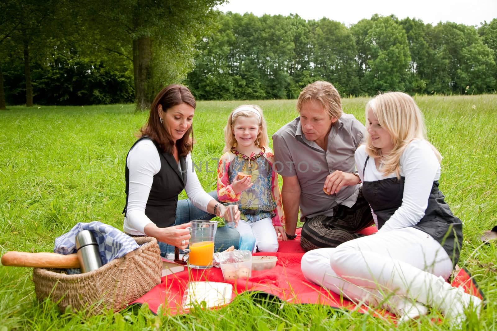 Pretty young family on an outdoors picnic in the field