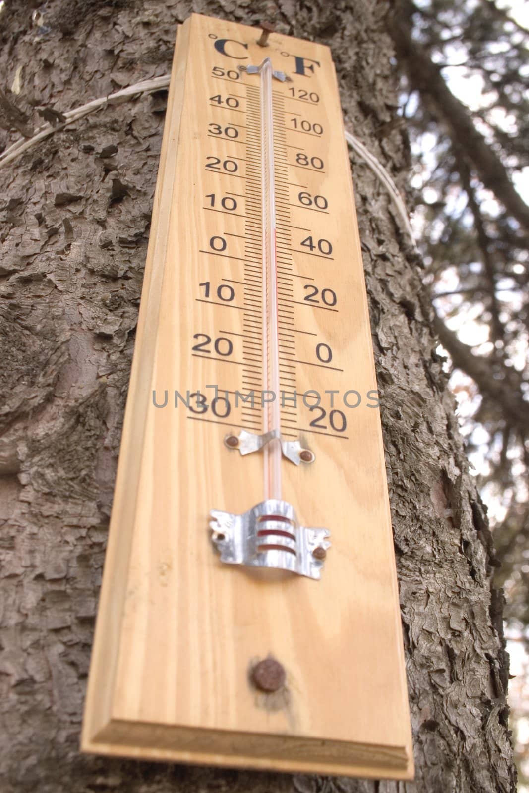 wooden thermometer at a tree