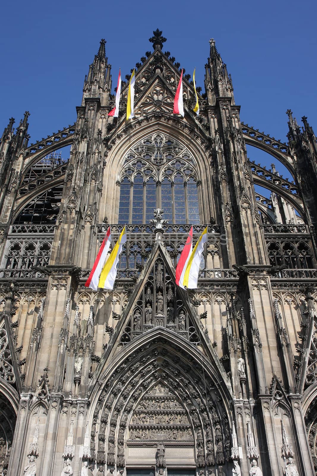 the cathedrale of cologne.