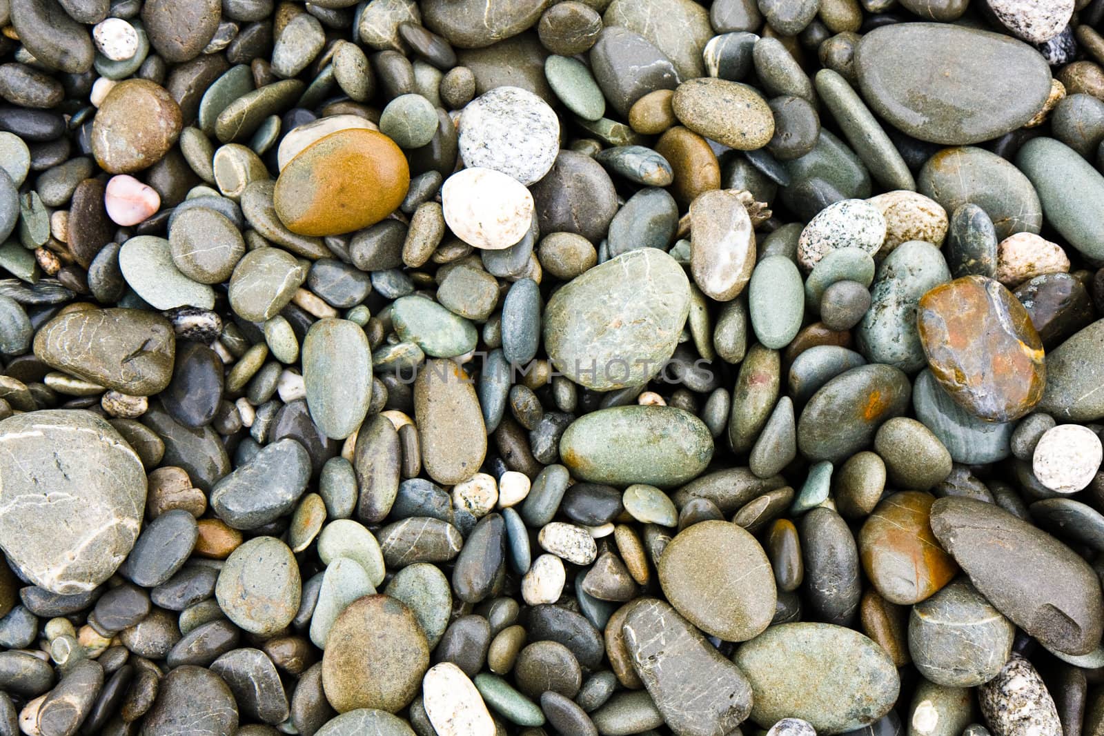 Close up of a pebble beach on the west coast of New Zealand