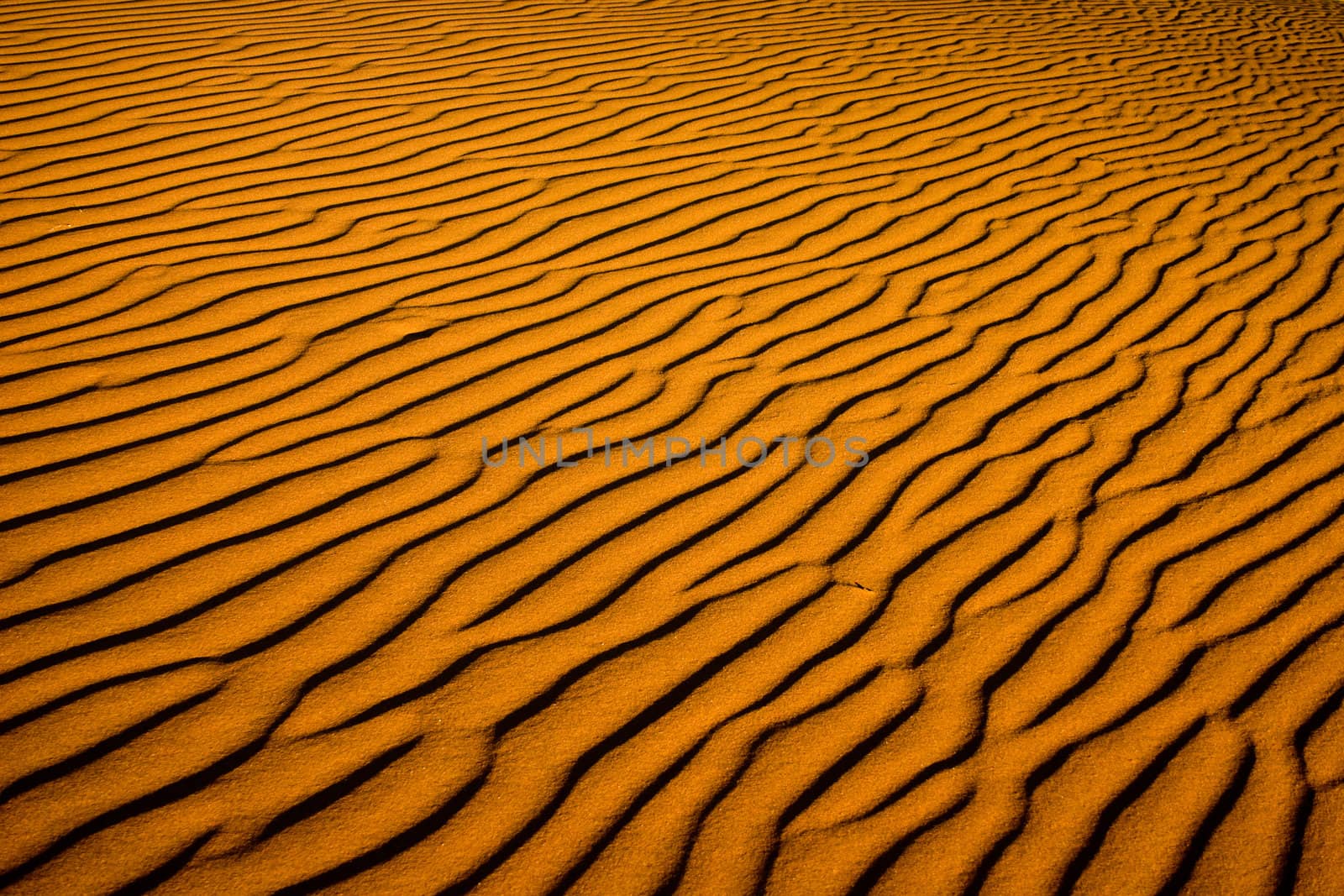 Ripples of sand in Sossusvlei, Namib Desert, Namibia