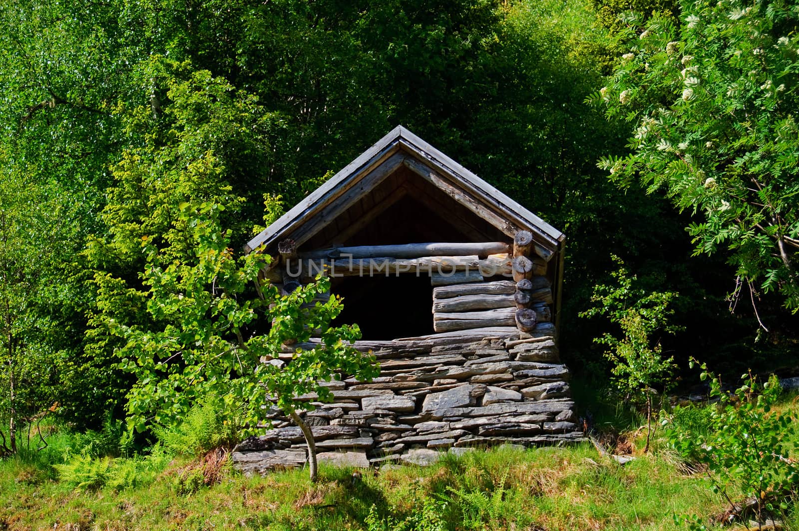 A small alpine shed in the woods