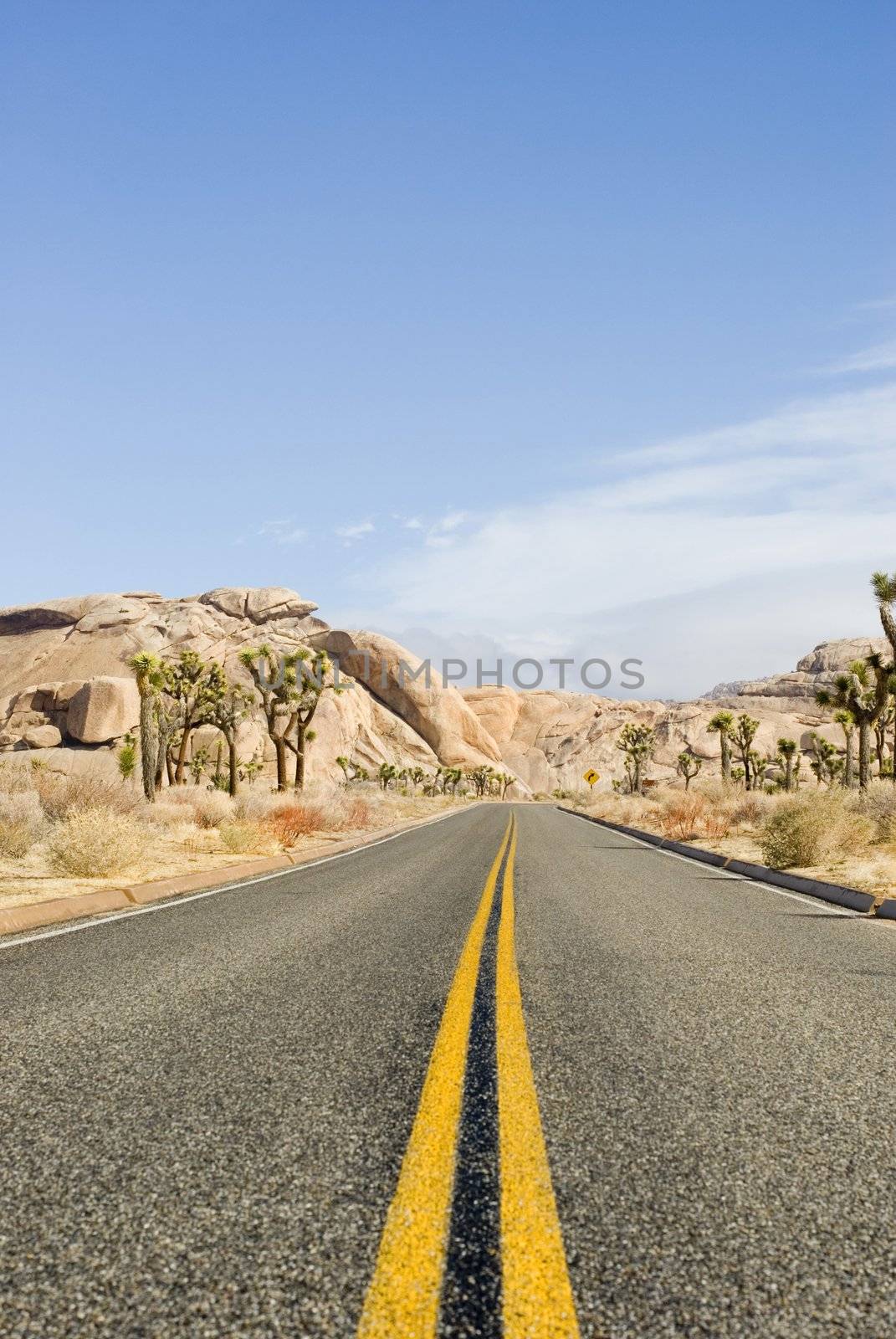 a road desert through the joshua tree national park, california