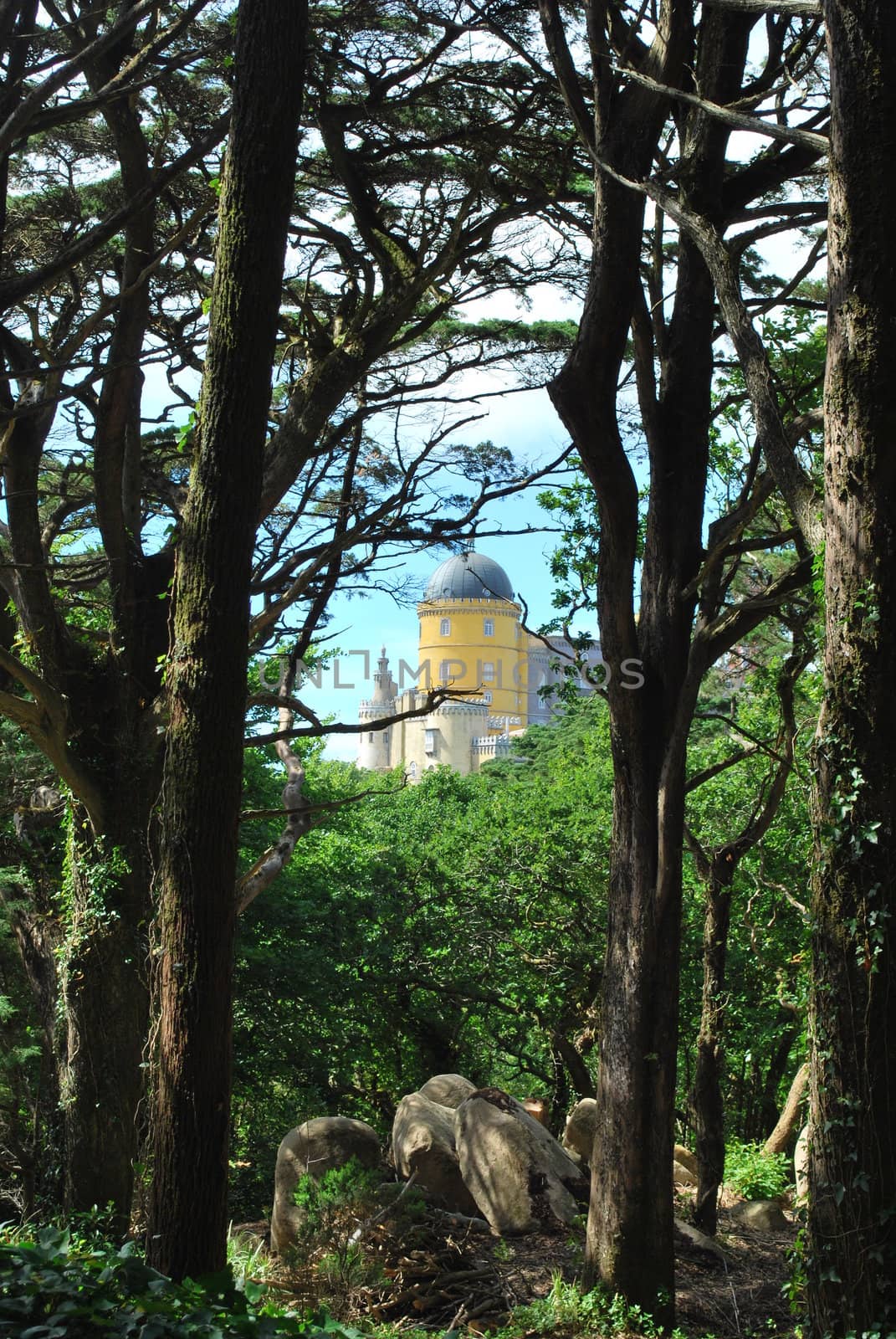 Landscape to Pena Palace from the forrest by luissantos84