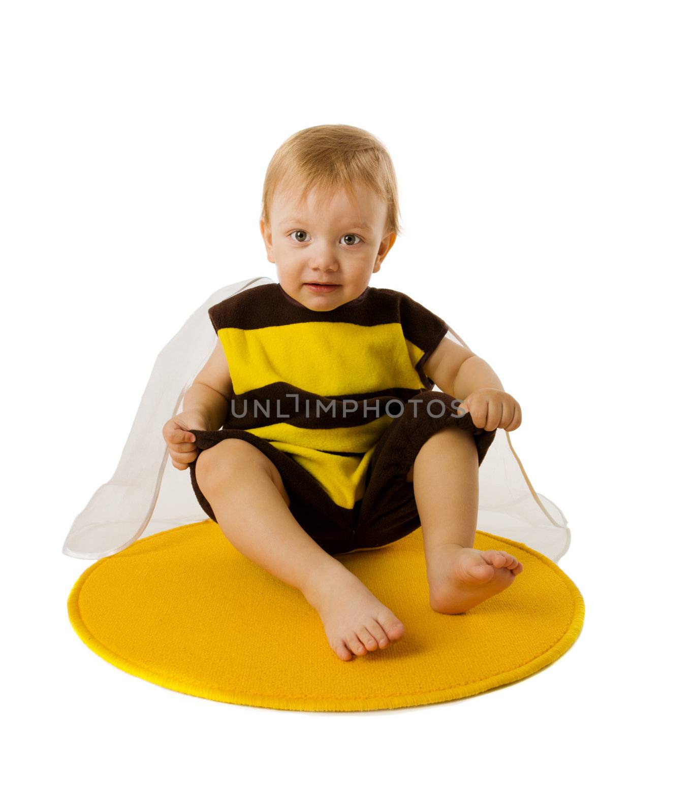 Toddler boy wearing bee costume isolated on white