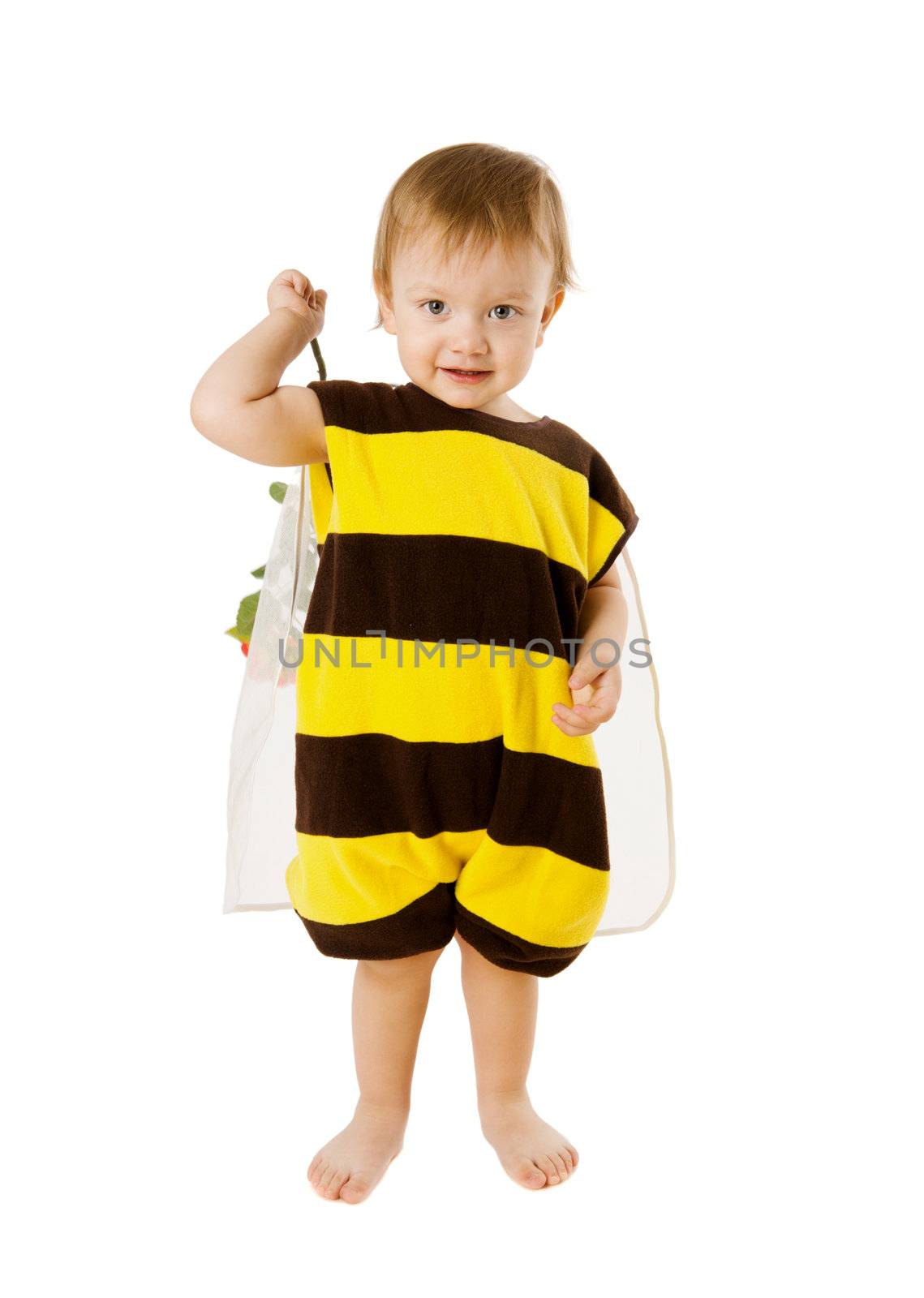 Toddler boy wearing bee costume isolated on white
