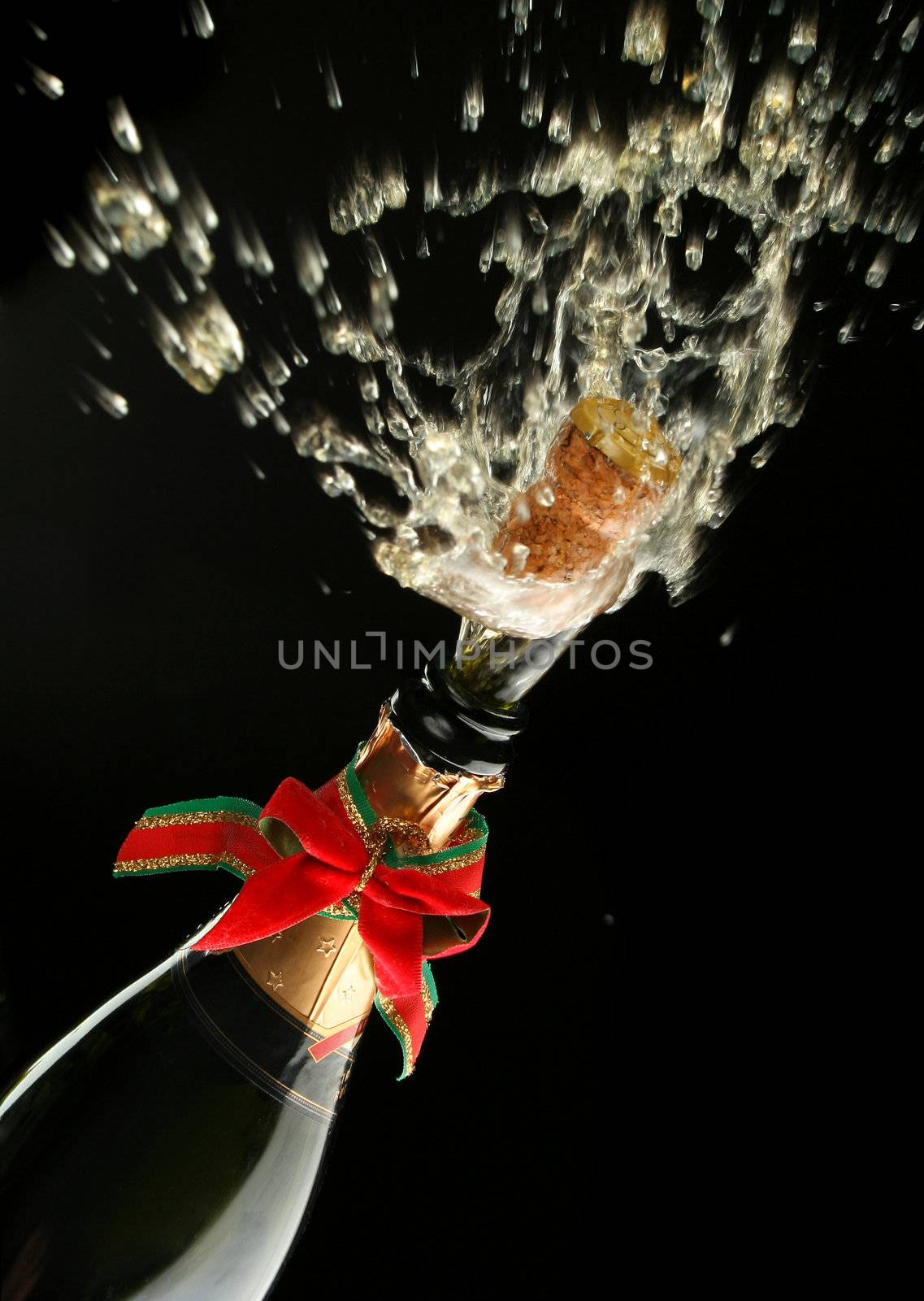 Champagne bottle ready for celebration by Erdosain