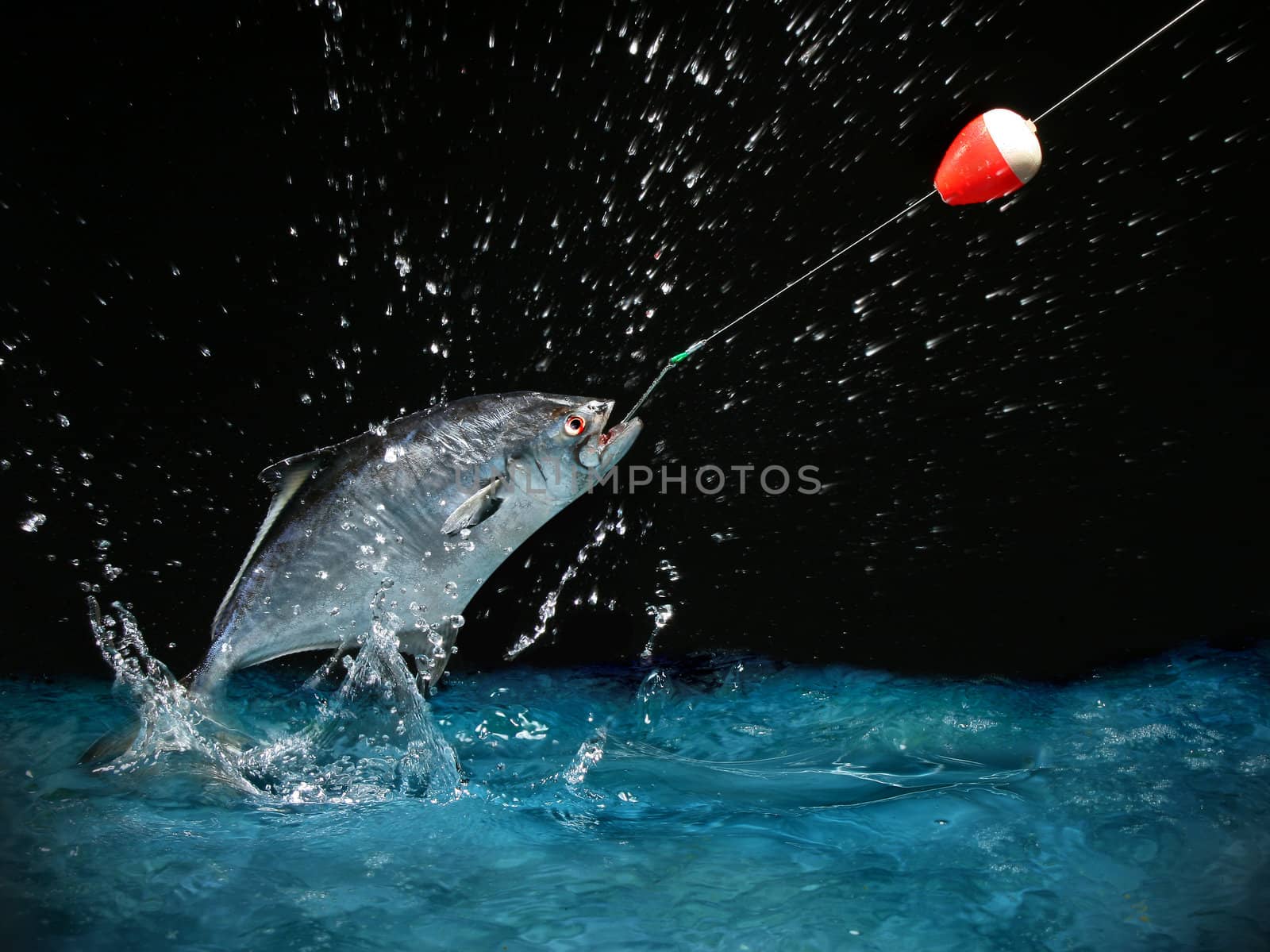 Catching a big fish with a fishing pole at night