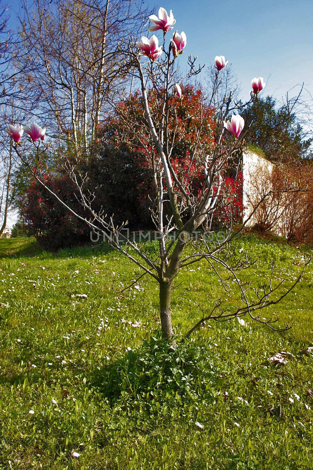 A beautiful spring day