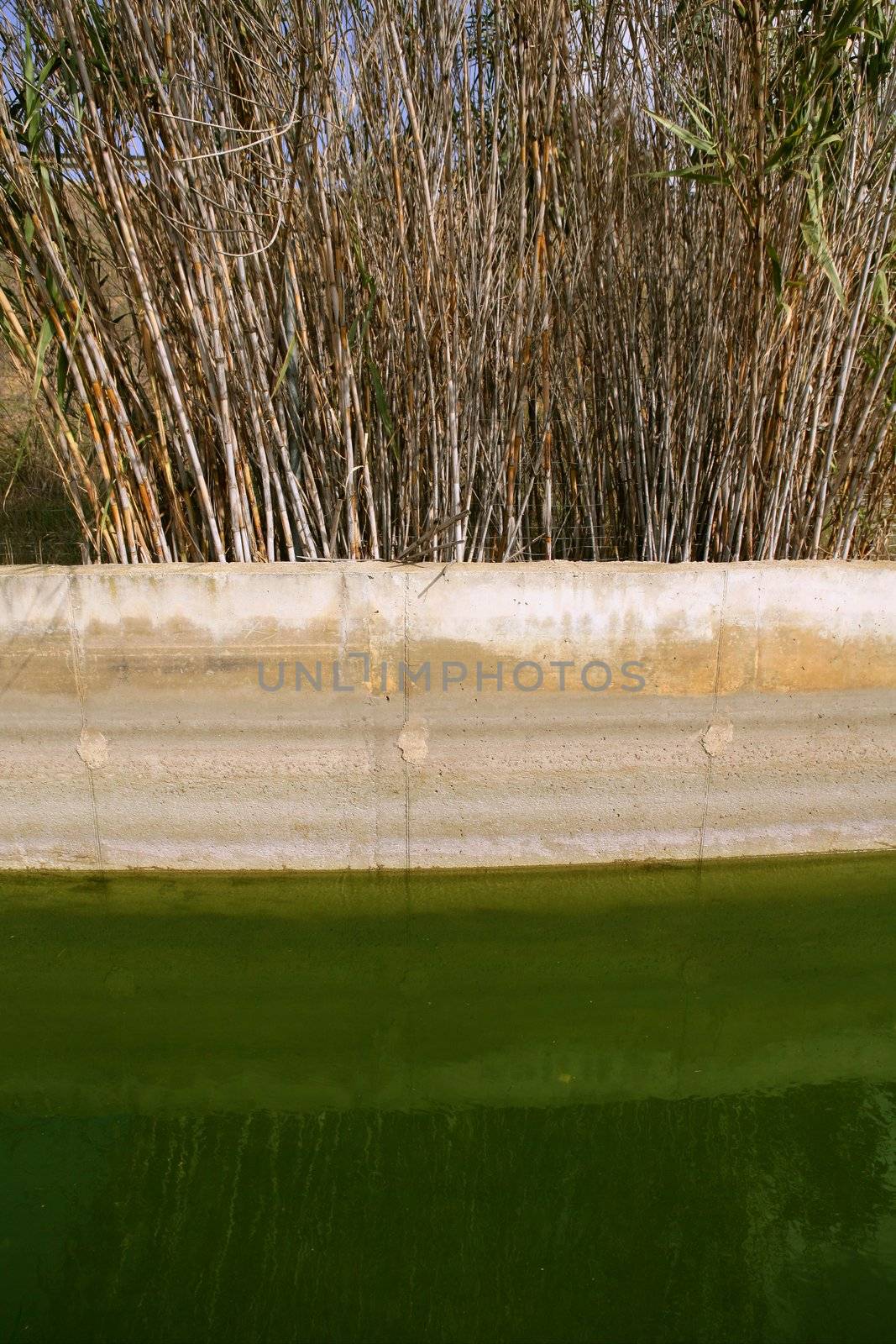 Irrigation ditch canal for agridulture use in Spain