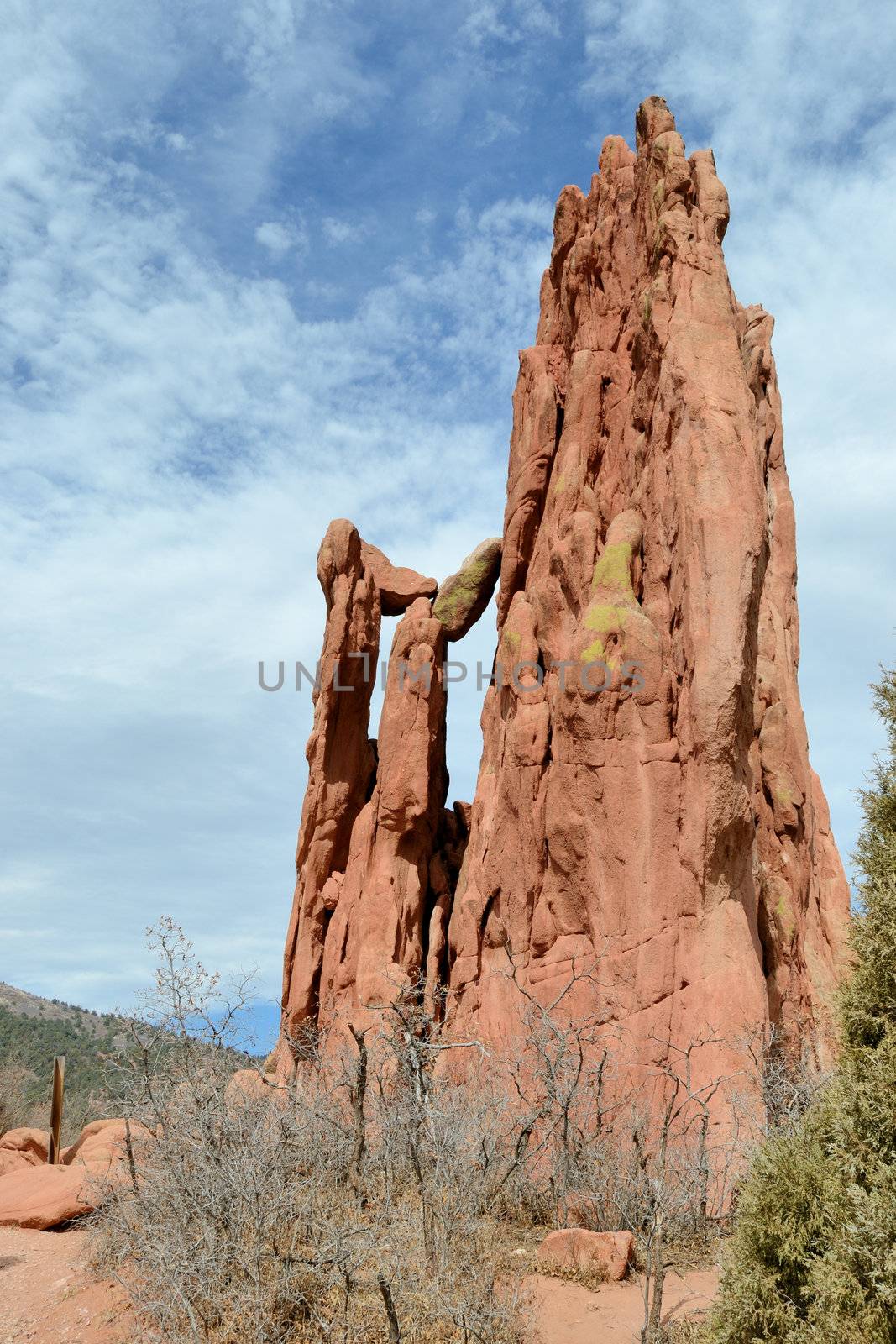 Garden Of The Gods Cathedral Spires by brm1949