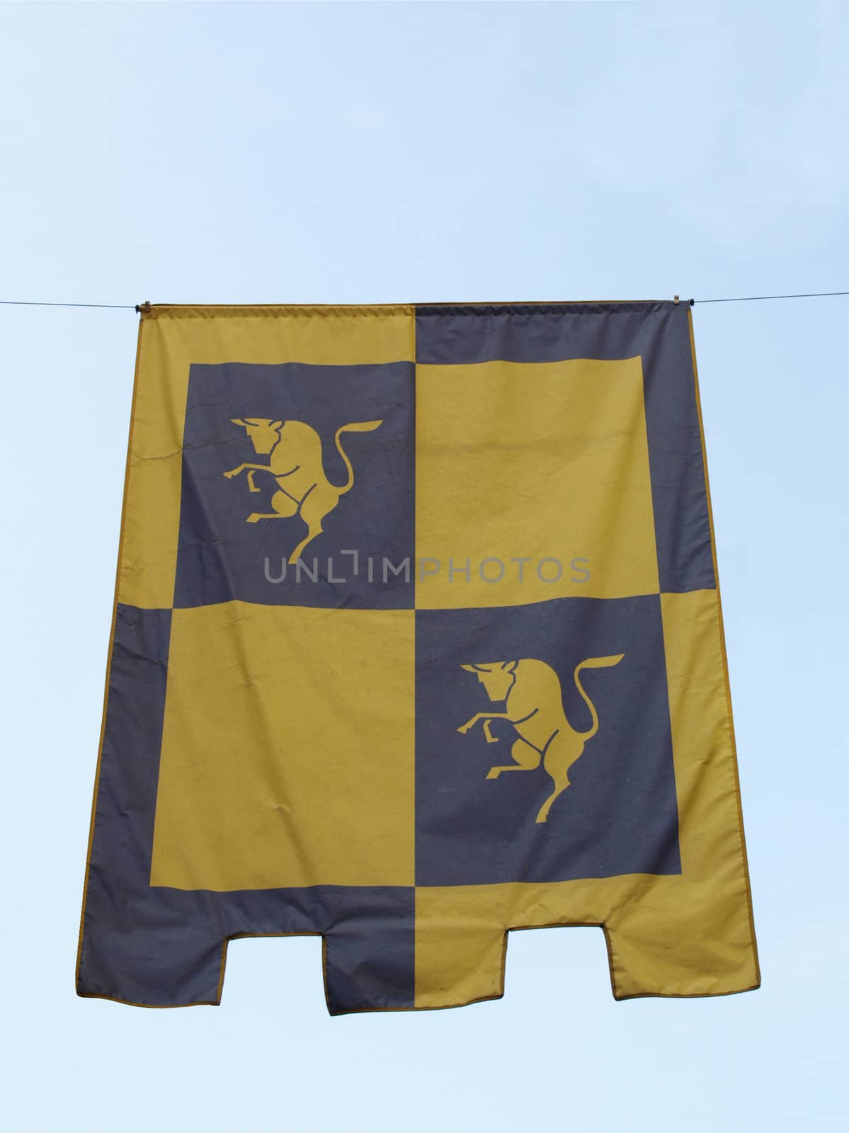 Symbol of Turin on an ancient medieval flag