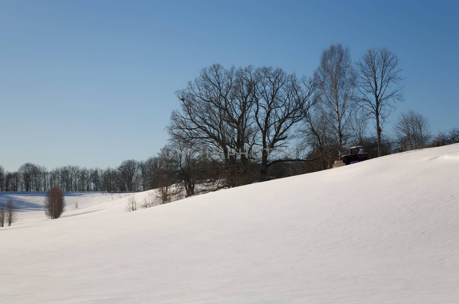 Snow Winter day