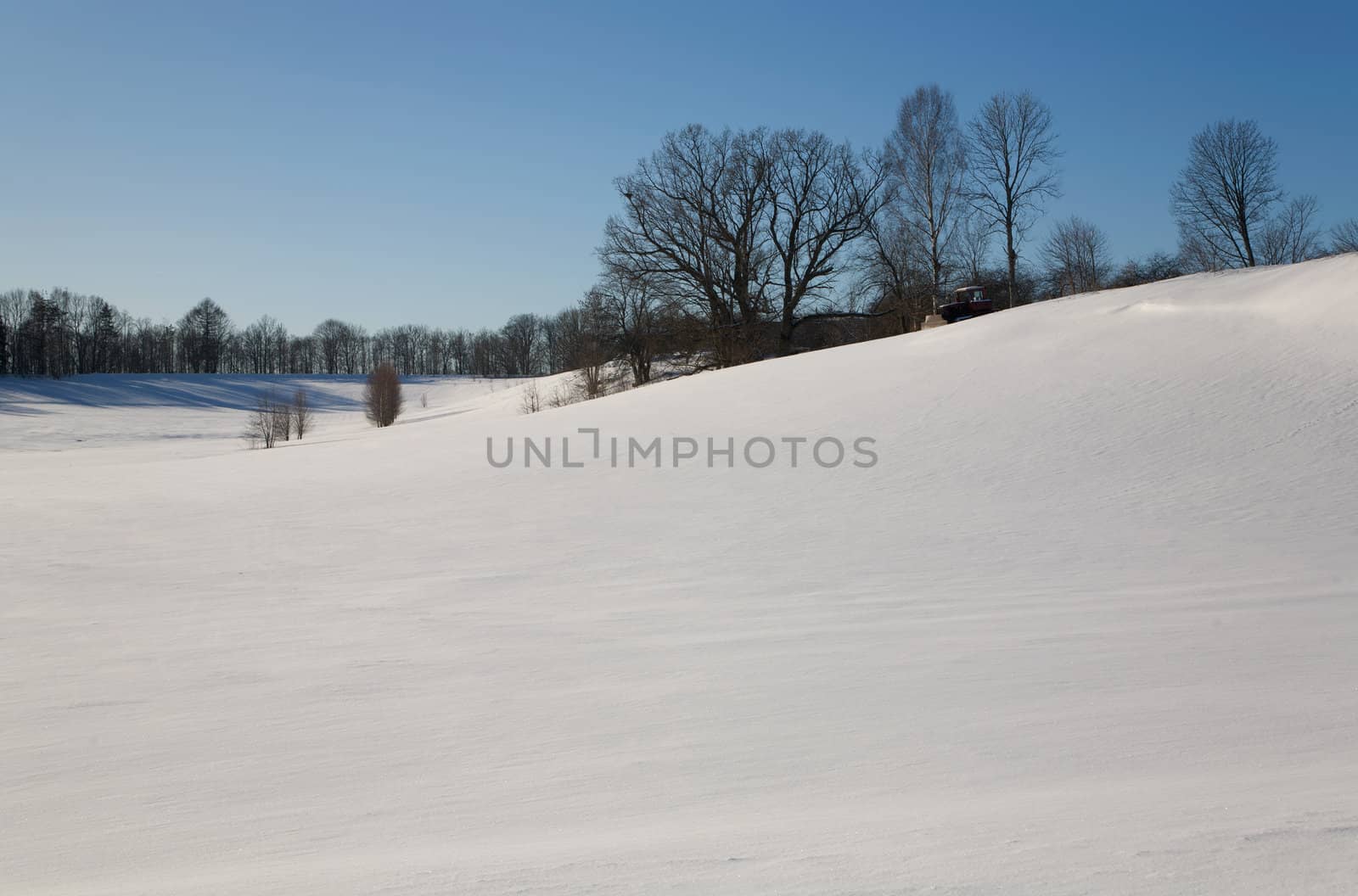 Snow Winter day