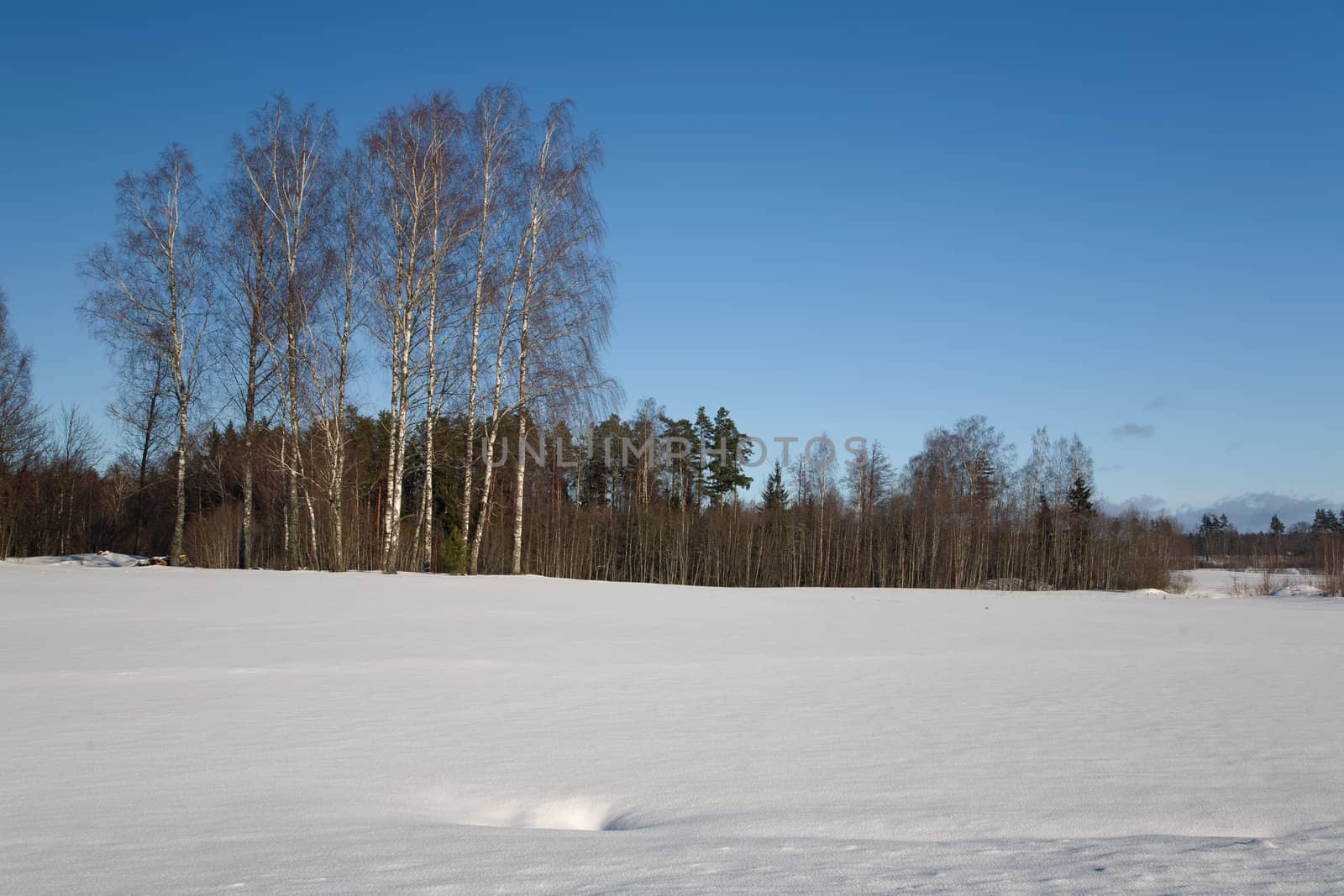 Snow Winter day