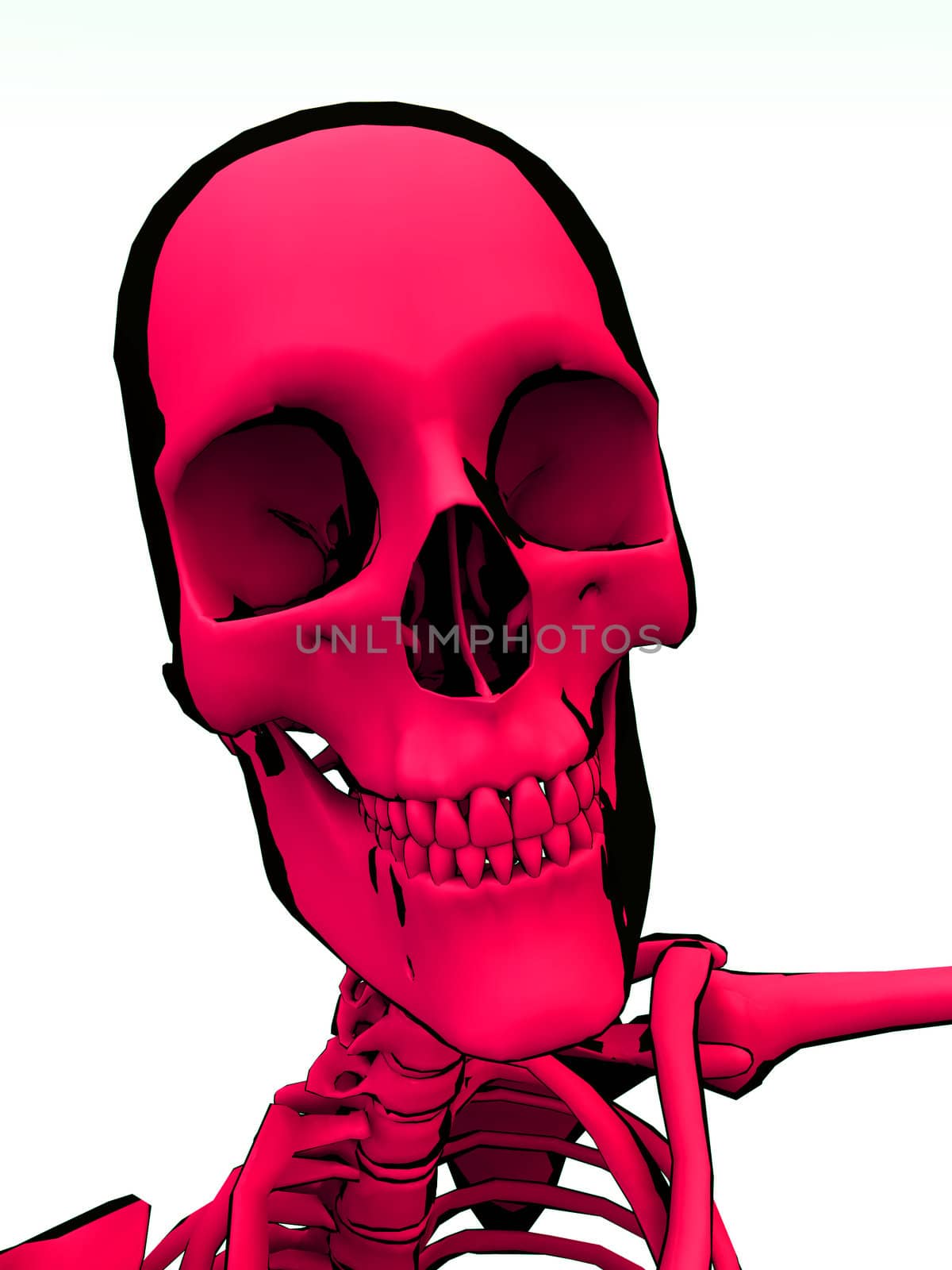 Image of a cartoon style Skeleton.