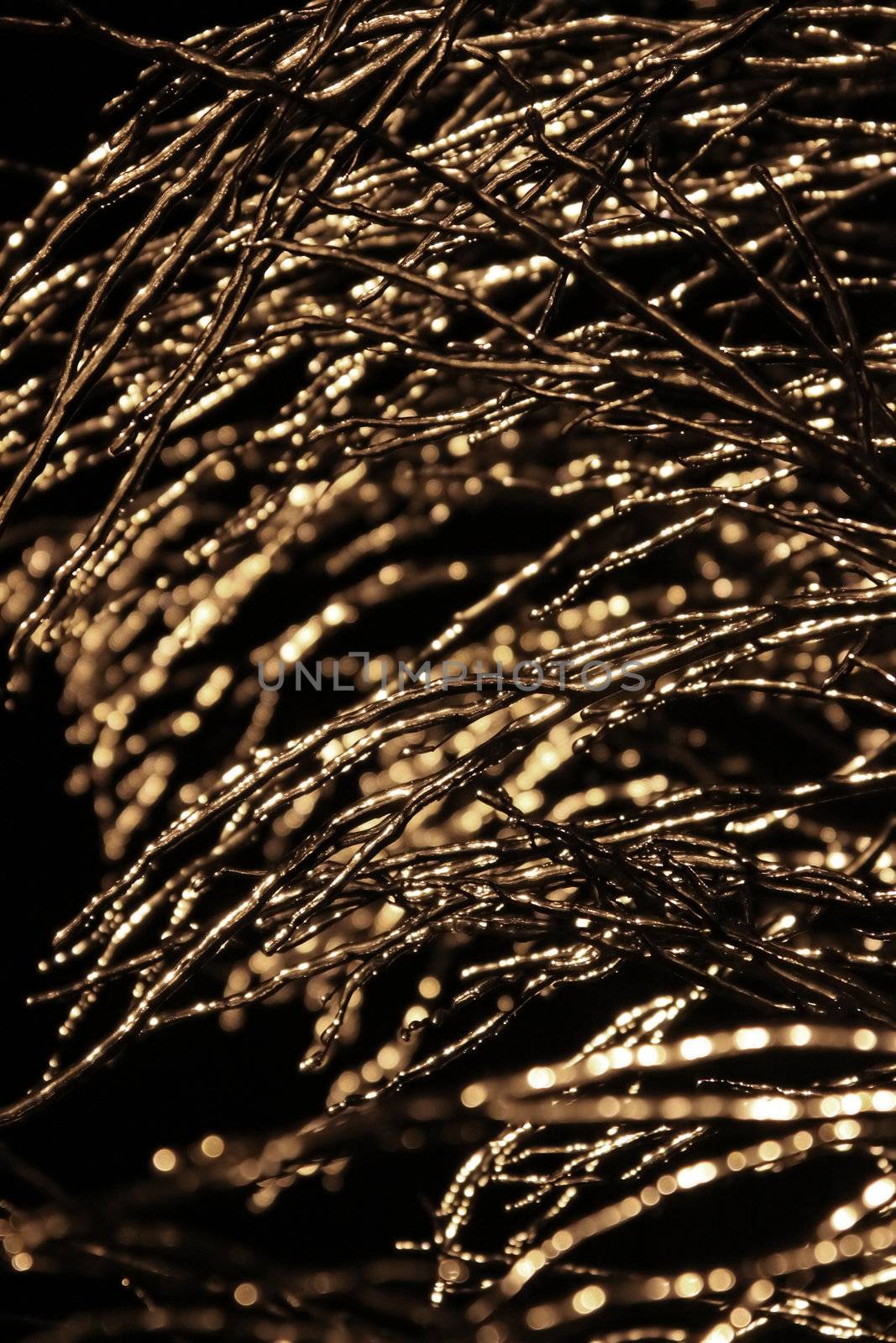 Trees in ice in night light