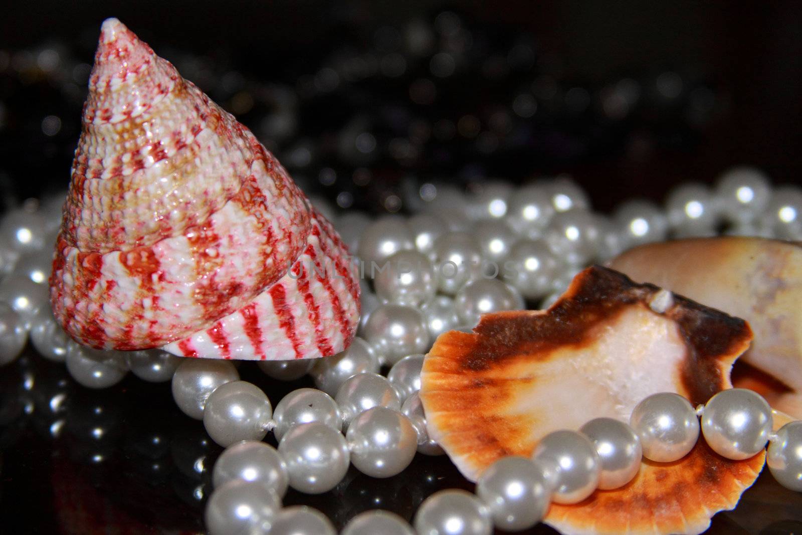 Background from mussels and pearls, riches