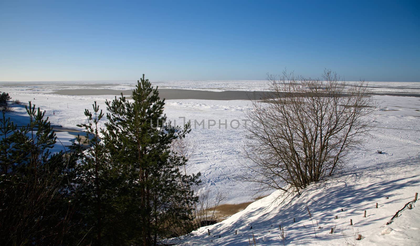 Snow Winter day