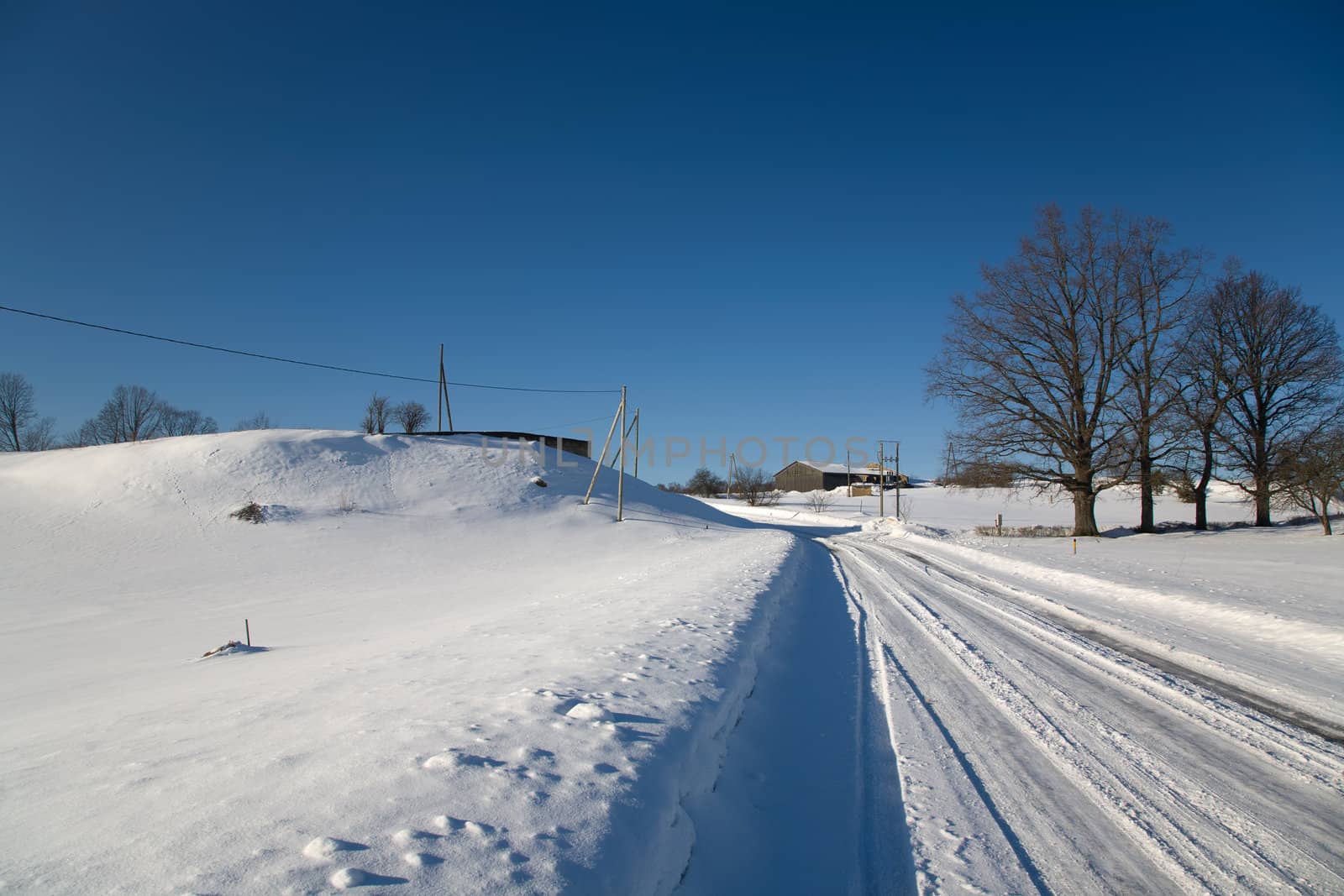 Snow Winter day