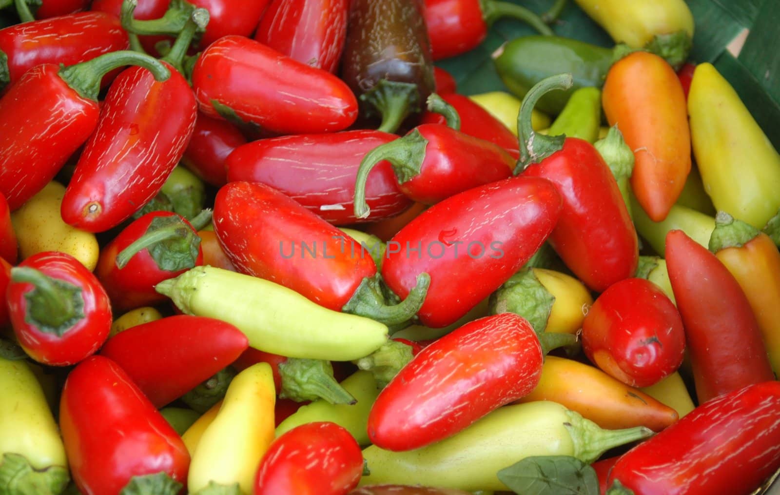 Hot peppers by northwoodsphoto