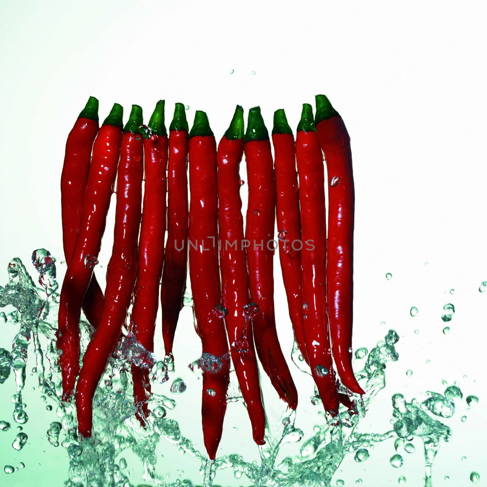 Planting, red, arrangement, friendship