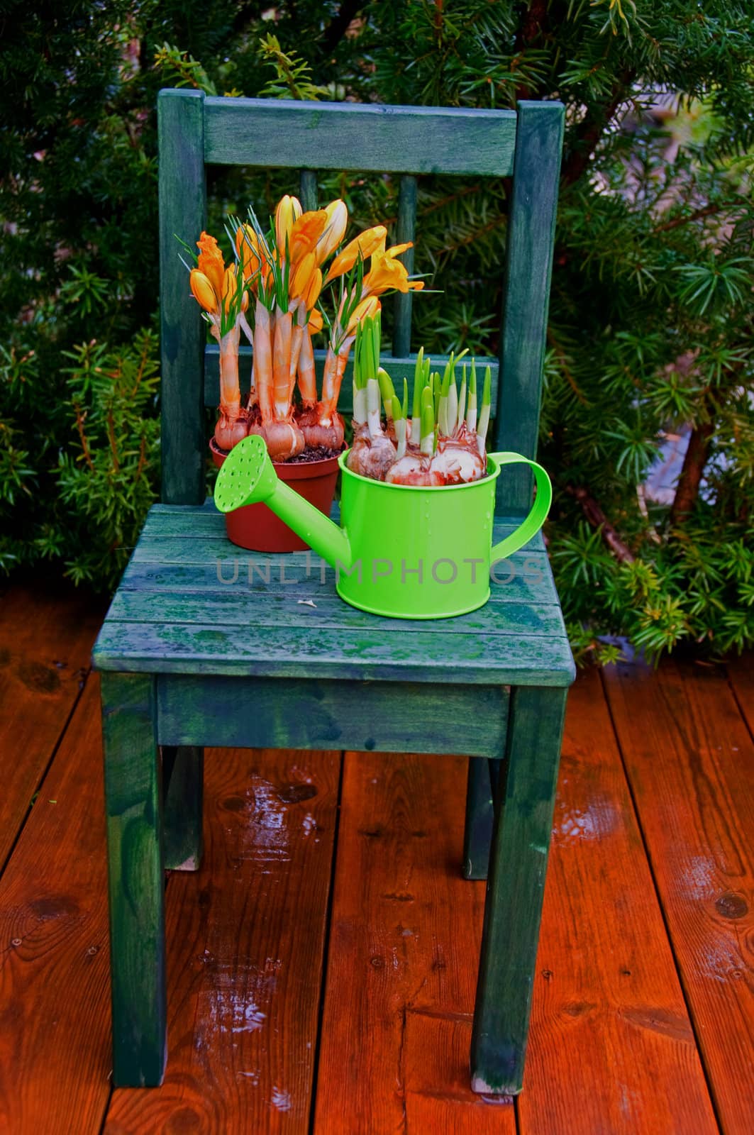 Spring flowers on a small chair