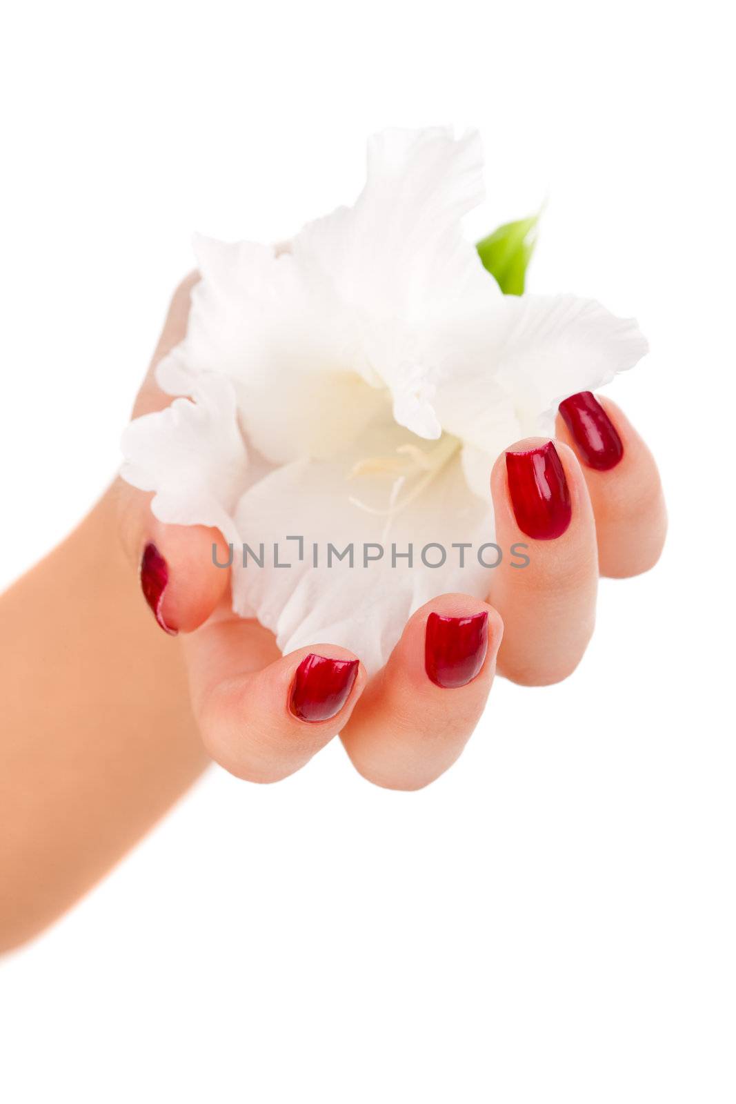 Beautiful nails and fingers by mihhailov