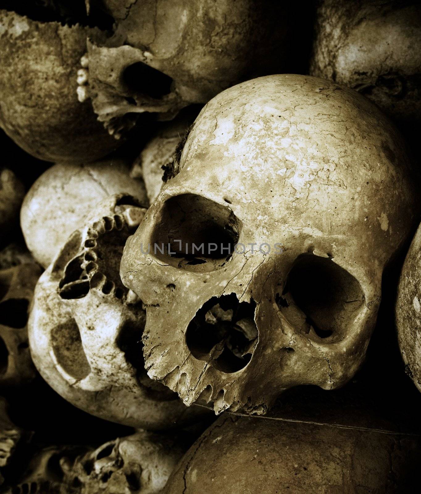 skulls in cambodia