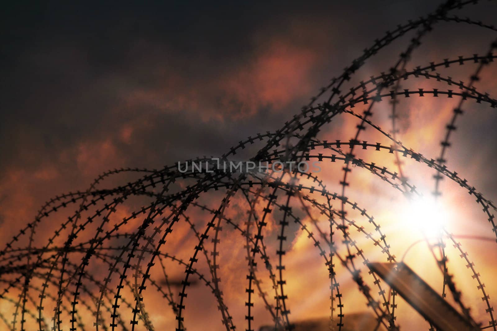 the barbed wire with clouds and sunblades