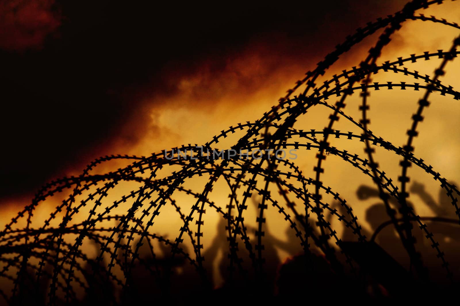 barbed wire by Hasenonkel