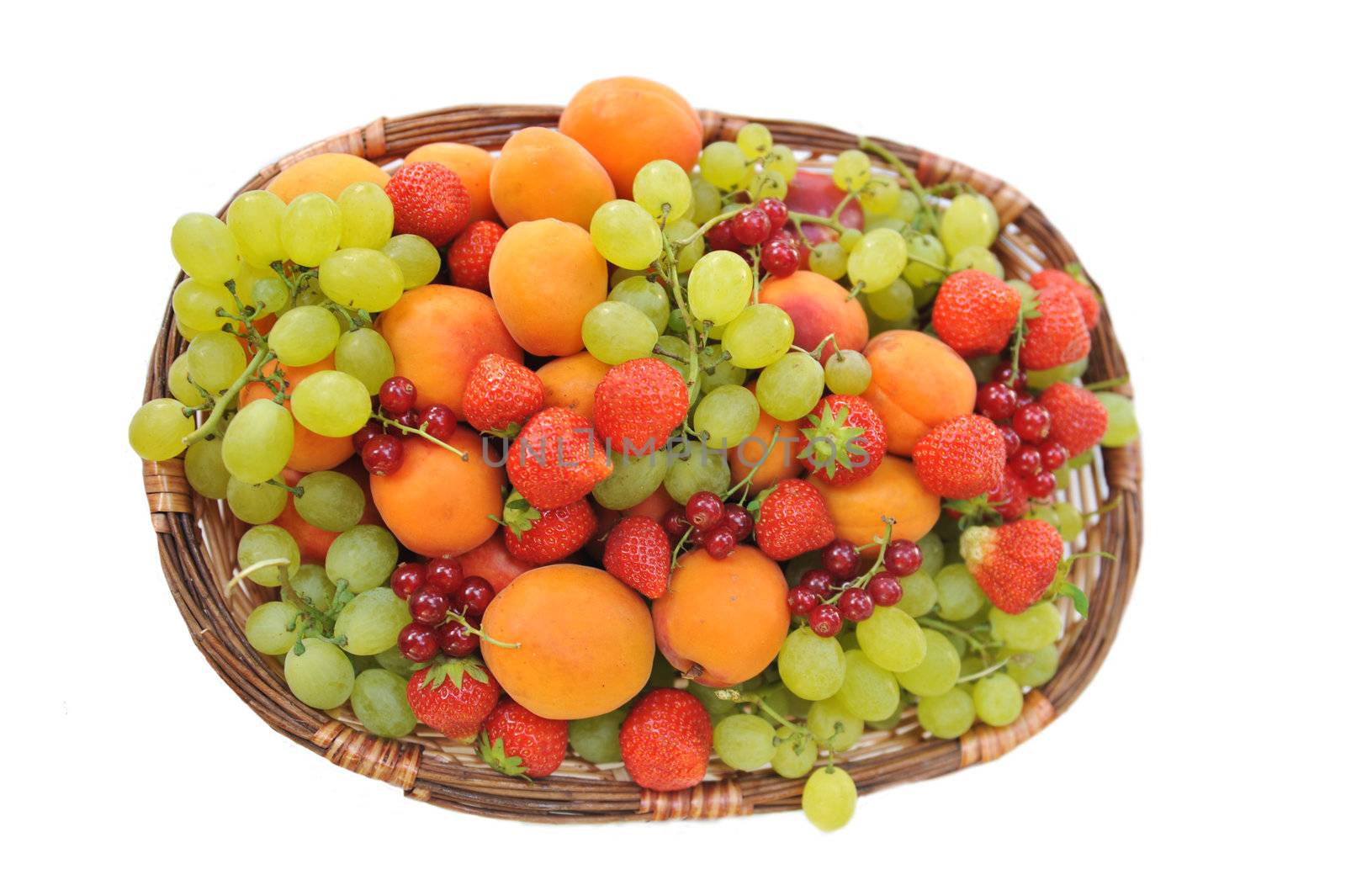 fresh fruits by cynoclub