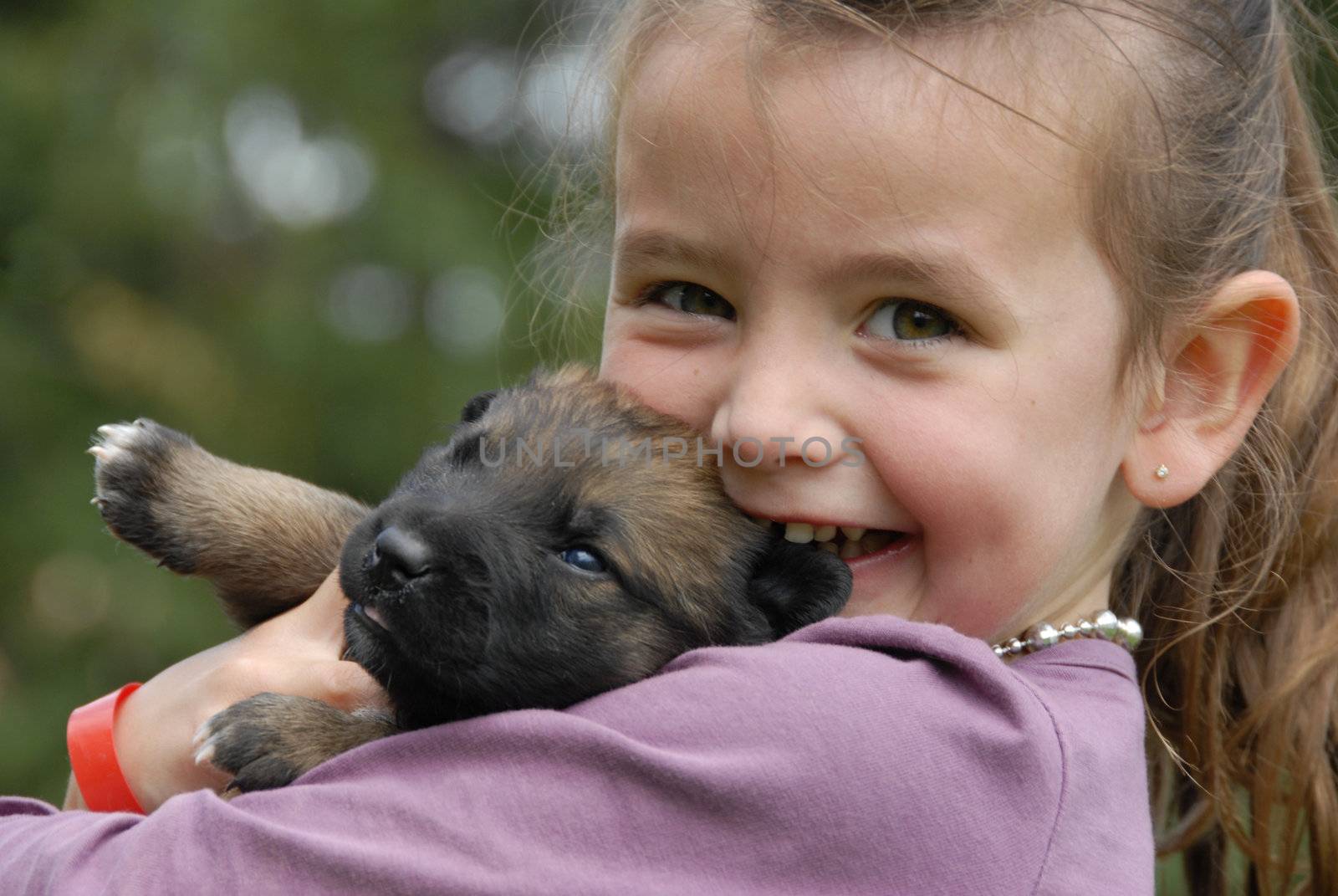 little girl and her very young puppy purebred belgian shepherd malinois