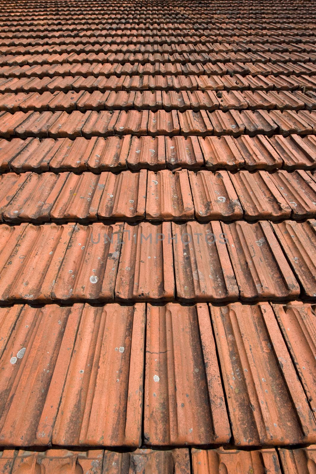 Wide angle shot of a roof with old red tiles. Deep Focus. 