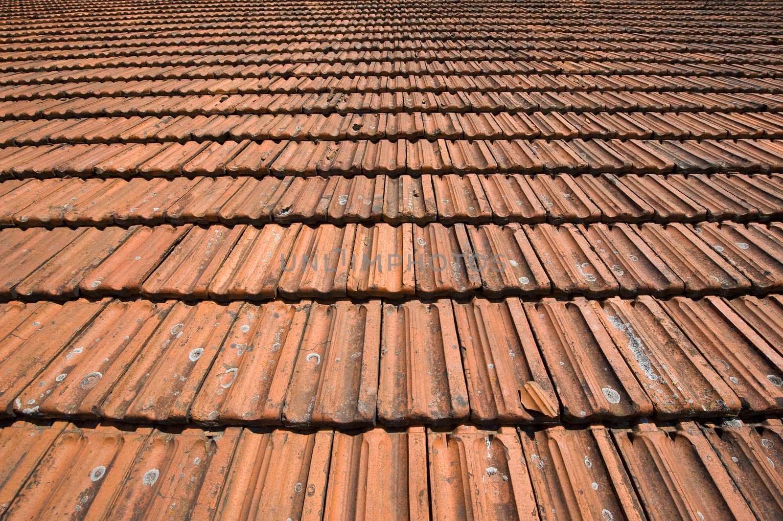 Detail of a roof with old red tiles by stockbymh