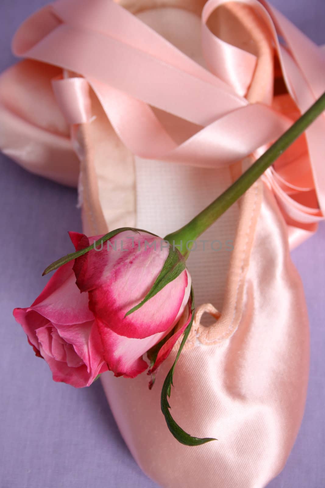 Satin Ballet shoe with a pink rose