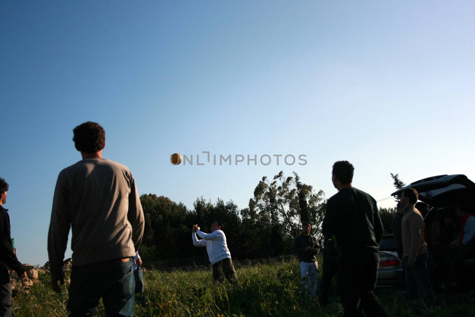 a group of men playing ball in a garden