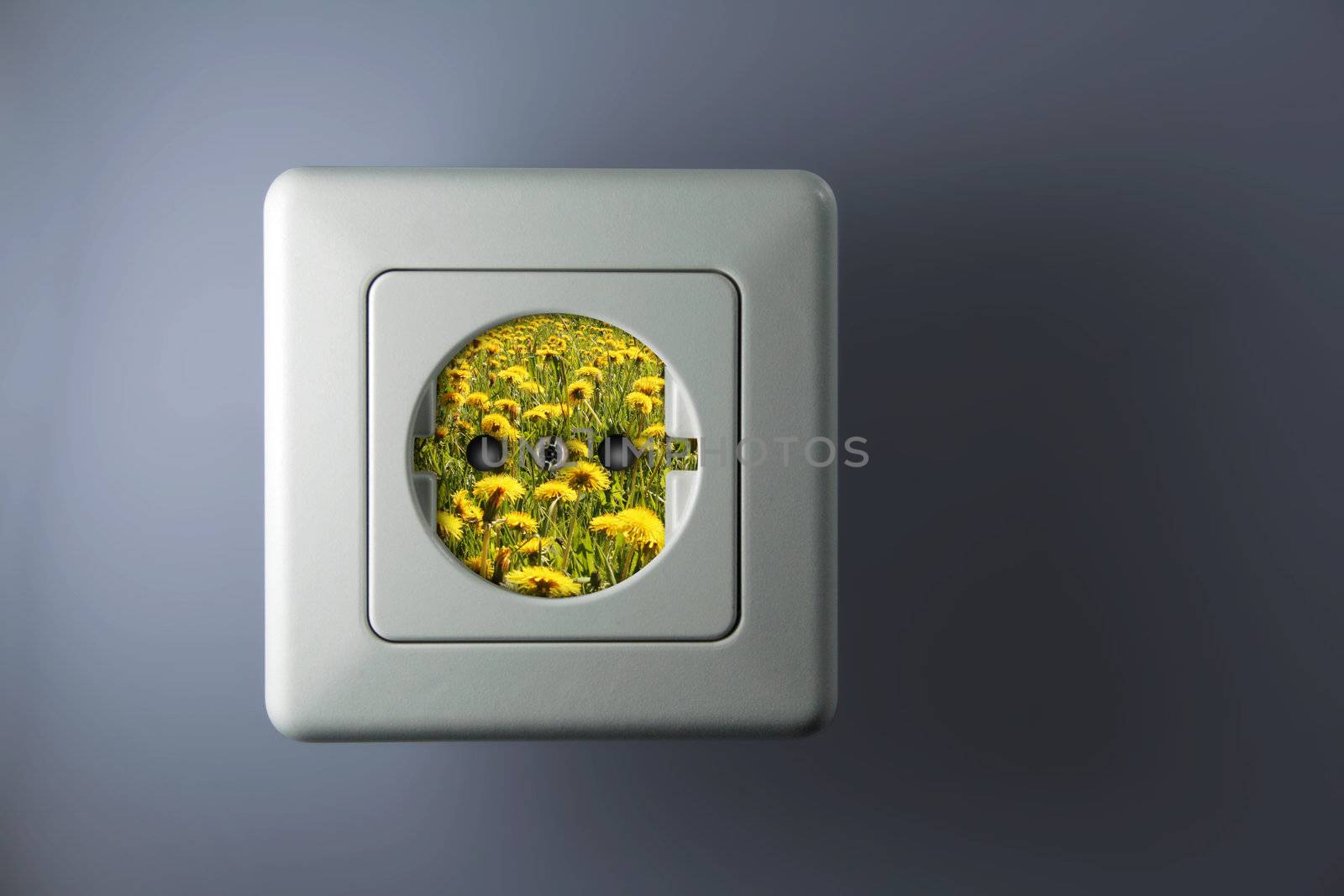 socket with green and free energy