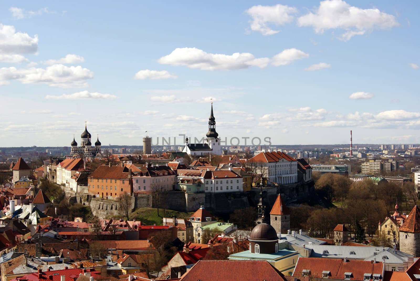 Tallinn, Kind from height of the bird's flight