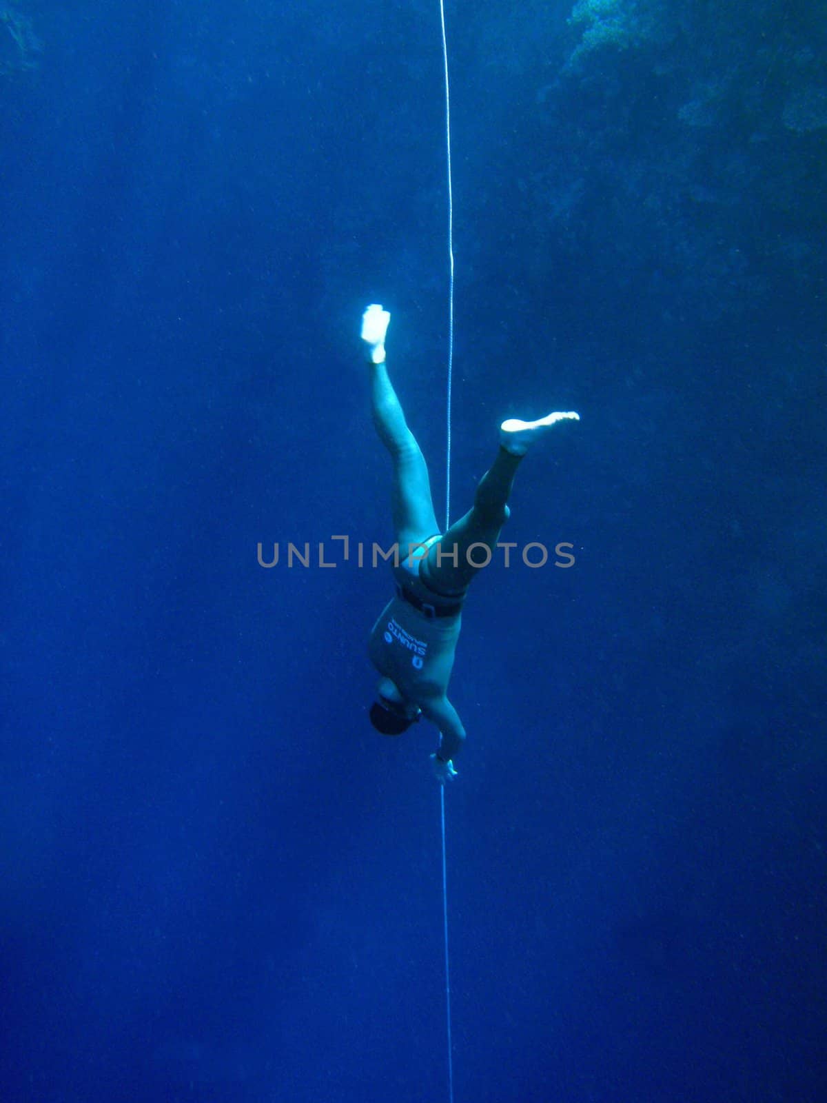 Underwater scene, rest on the Red sea, Egypt, Dahab