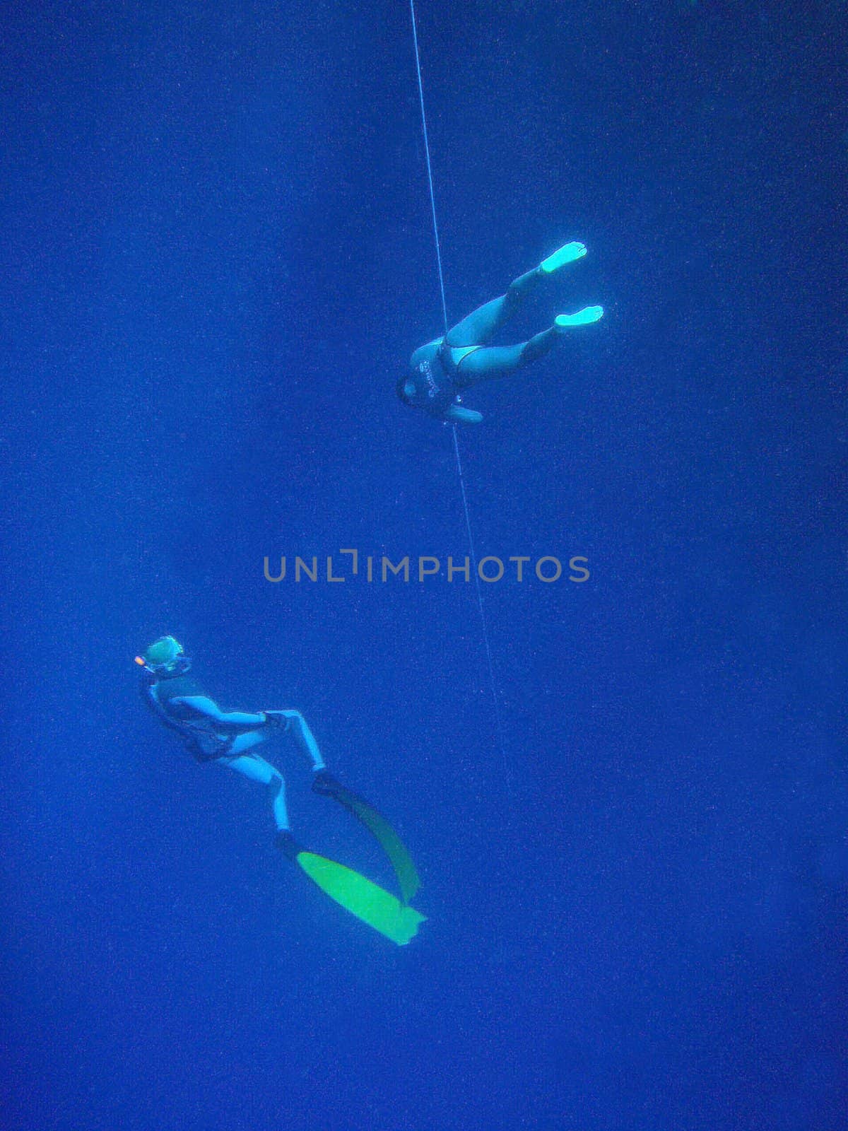 Underwater scene, rest on the Red sea, Egypt, Dahab