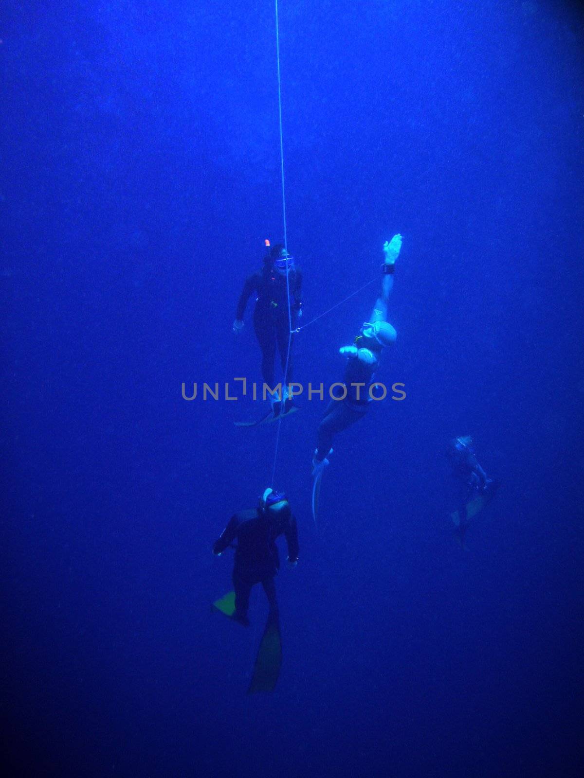 Underwater scene, rest on the Red sea, Egypt, Dahab; Blue Hole