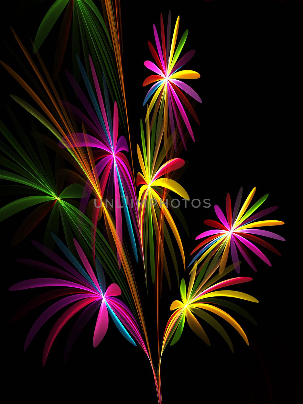 bouquet of flowers on black background